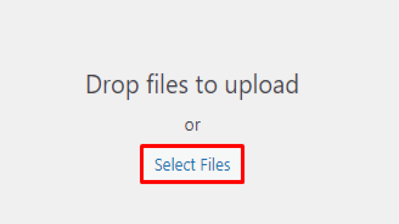 How to Add File Upload Capability to Your Website with LetsHosts